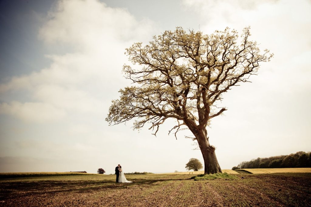 Bride and groom standing in an open field under a large tree
